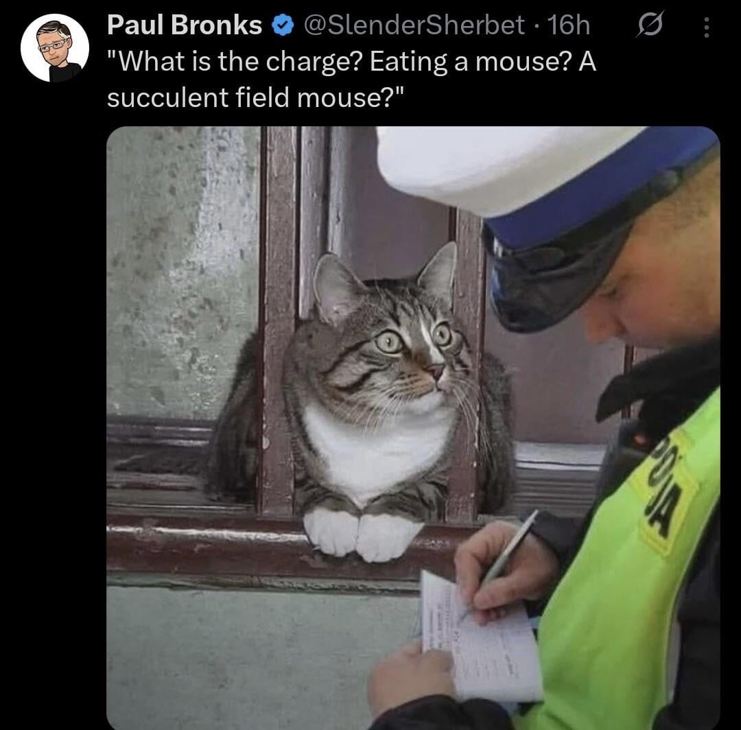 Paul Bronks @SlenderSherbet - 16h "What is the charge? Eating a mouse? A succulent field mouse?"