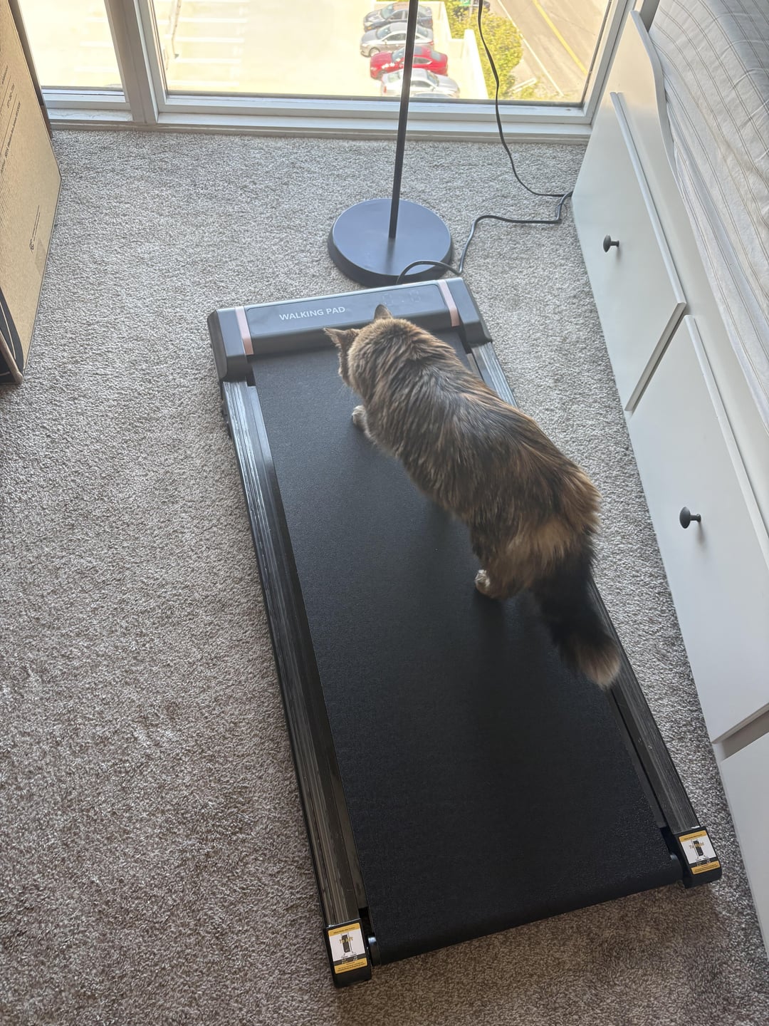 WALKING PAD