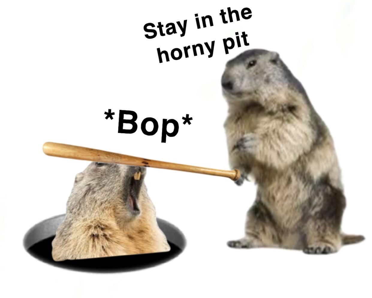 Invest in the horny gopher | /r/MemeEconomy | Know Your Meme