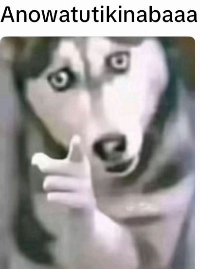 A version of the husky pointing meme. The meme reads "Anowatutikinabaaa."