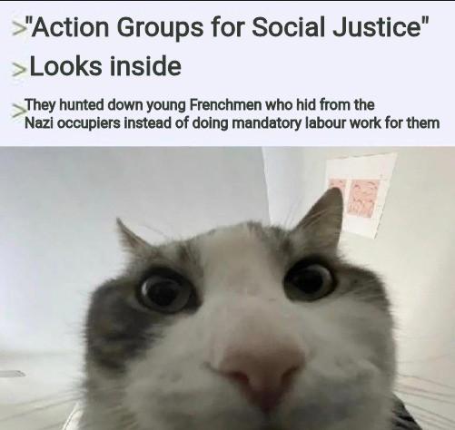 >"Action Groups for Social Justice" >Looks inside They hunted down young Frenchmen who hid from the Nazi occupiers instead of doing mandatory labour work for them