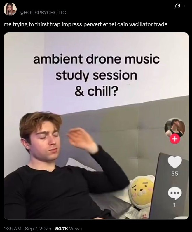 @HOUSPSYCHOTIC me trying to thirst trap impress pervert ethel cain vacillator trade ambient drone music study session & chill? 1:35 AM - Sep 7, 2025 - 50.7K Views 55 55 € 1