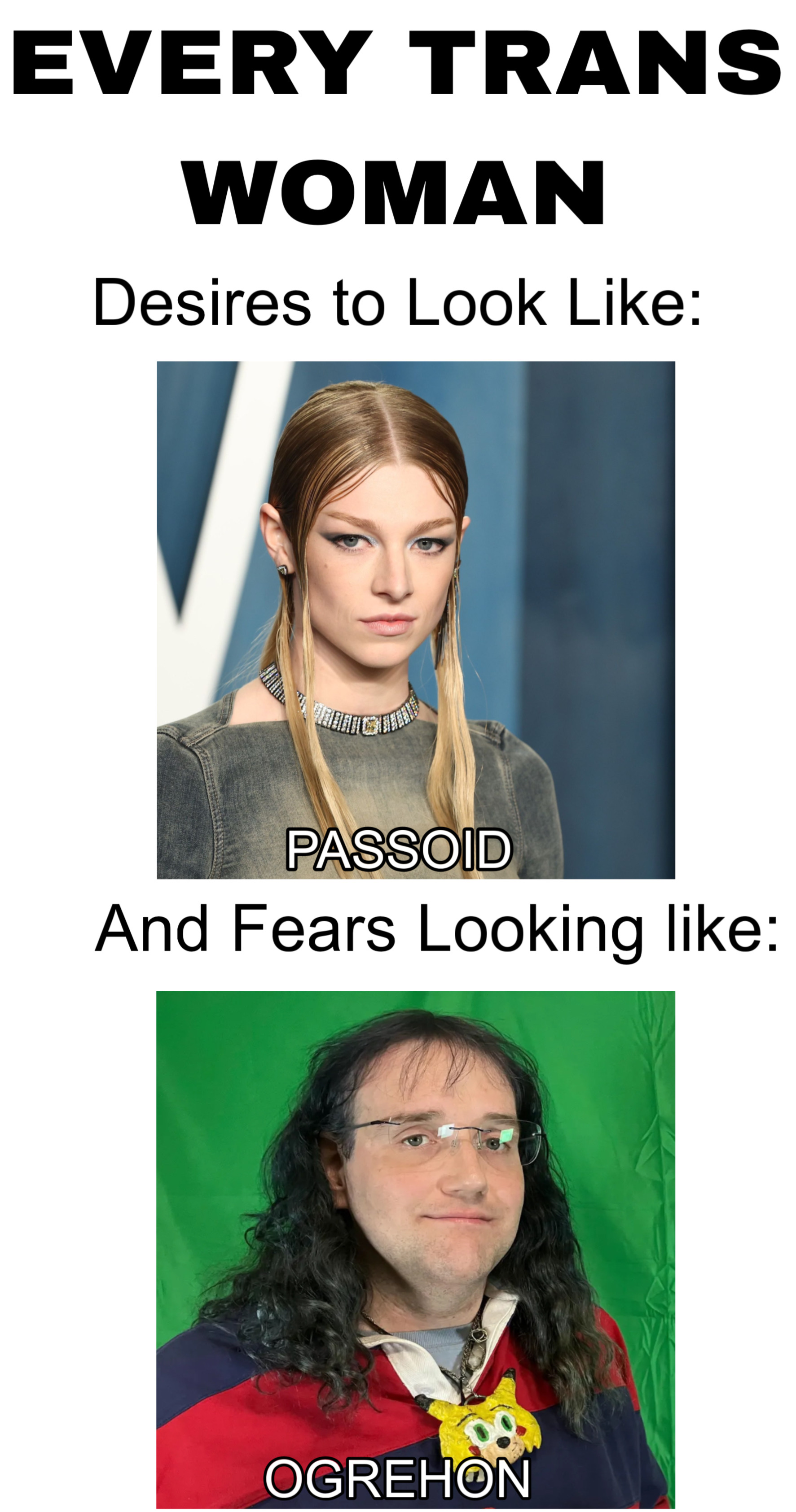 EVERY TRANS WOMAN Desires to Look Like: PASSOID And Fears Looking like: OGREHON