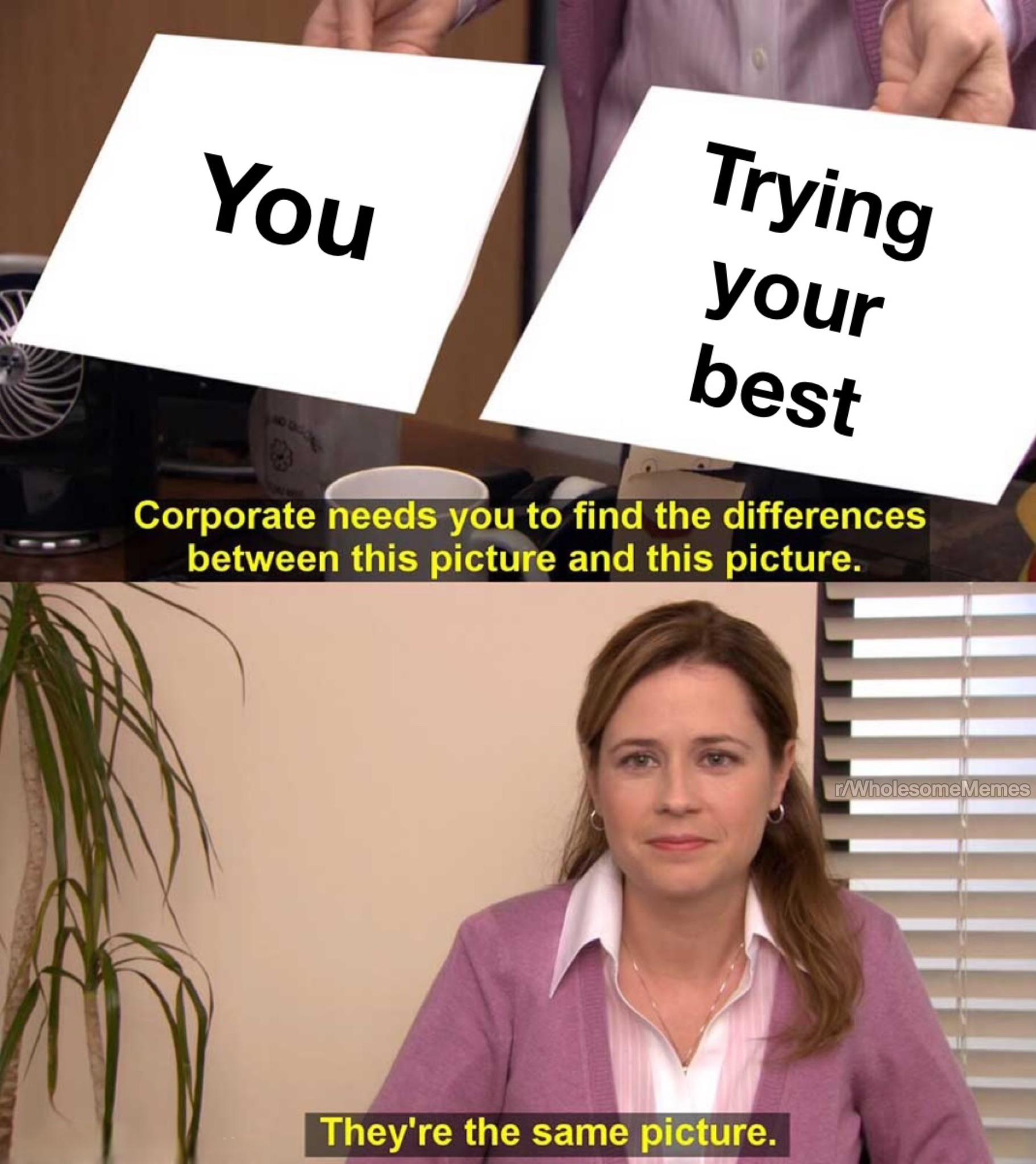 Trying You your best Corporate needs you to find the differences between this picture and this picture. They're the same picture. r/WholesomeMemes