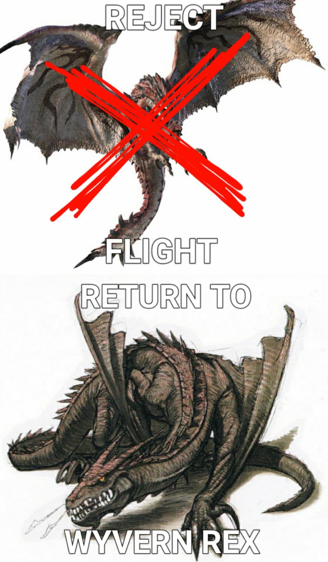 REJECT FLIGHT RETURN TO WYVERN REX