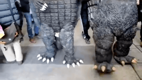 Gamera vs Godzilla