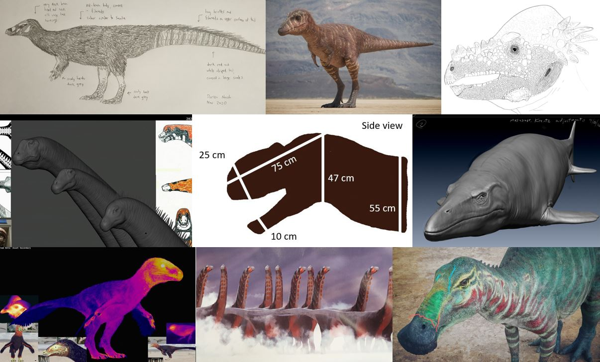 г vy are be heat ad tack will way face and bows bely covert -filands colla long bristles and frets put of Lach asily dark gity Ja gy 202 T while liged t cerollary sinks Darren Nush N№ 220 25 cm 75 cm 47 cm 10 cm mosasupp Krentz adjustments Side view 55 cm