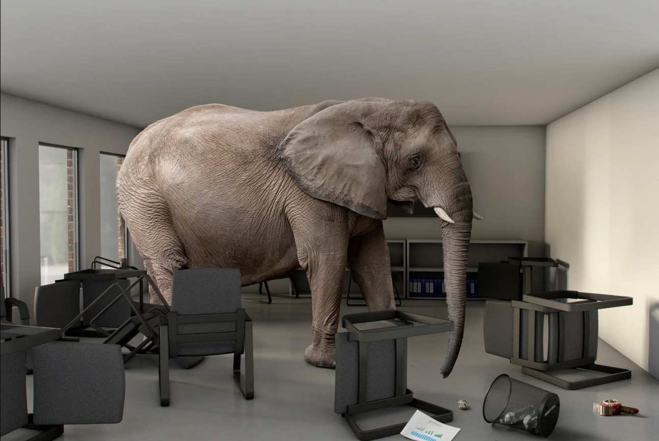 An image of an elephant standing in a room.