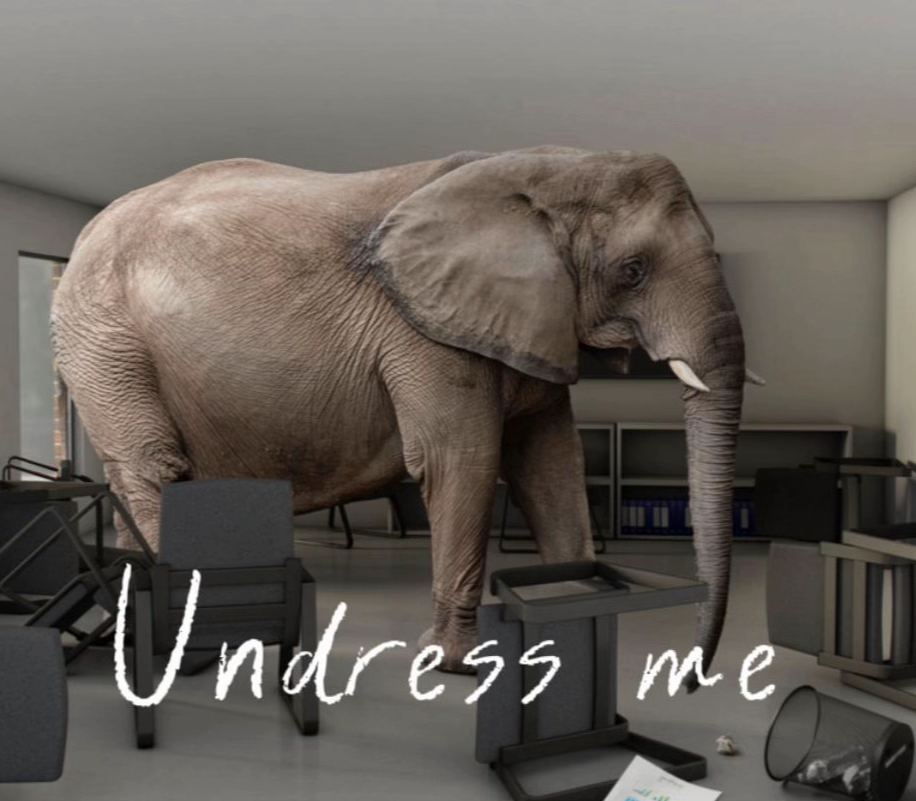 A version of the Address Me elephant meme. The meme reads "undress me."