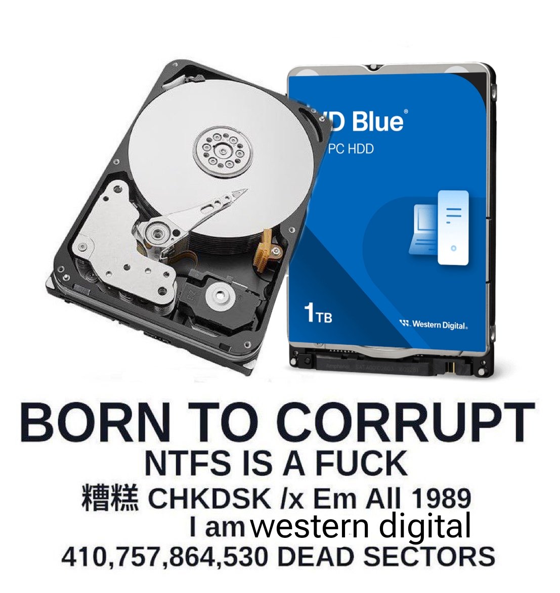 Ⓡ D Blue® PC HDD 1TB II. o W. Western Digital. BORN TO CORRUPT NTFS IS A F--- ****CHKDSK /x Em All 1989 I am western digital 410,757,864,530 DEAD SECTORS