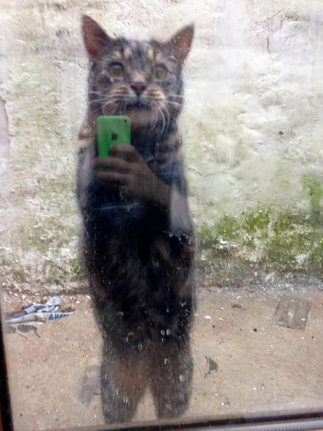Taking a selfie