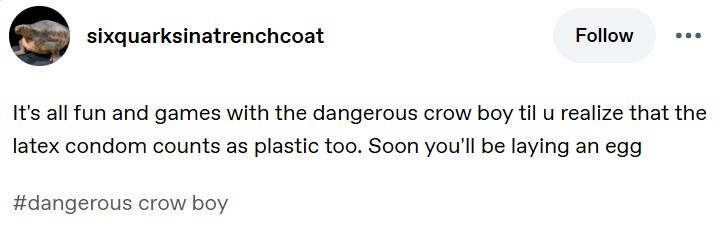 A Tumblr post by sixquarksinatrenchcoat. The post reads, "It's all fun and games with the dangerous crow boy til u realize that the latex condom counts as plastic too. Soon you'll be laying an egg."