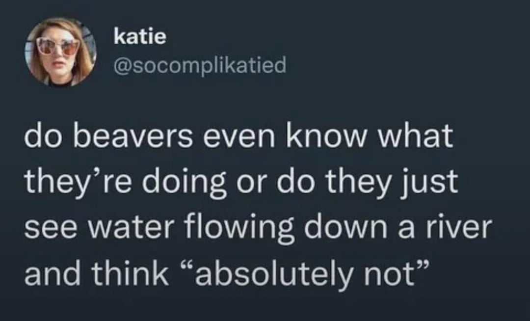 katie @socomplikatied do beavers even know what they're doing or do they just see water flowing down a river and think "absolutely not"