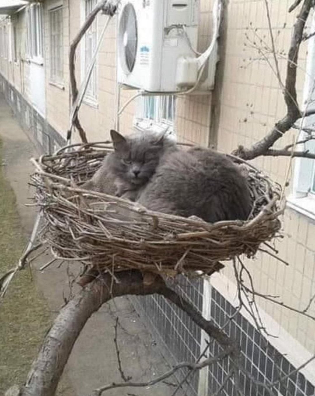 His house now