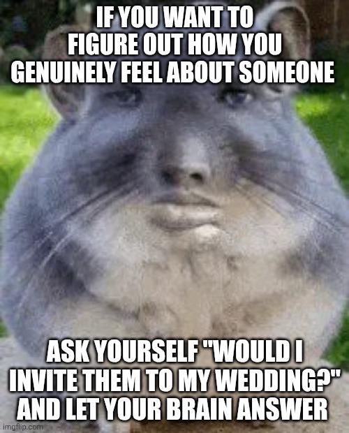 IF YOU WANT TO FIGURE OUT HOW YOU GENUINELY FEEL ABOUT SOMEONE ASK YOURSELF "WOULD I INVITE THEM TO MY WEDDING?" AND LET YOUR BRAIN ANSWER imgflip.com