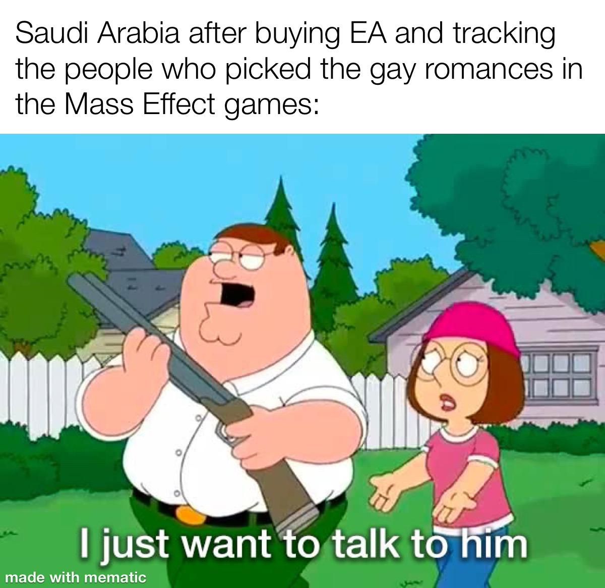 Saudi Arabia after buying EA and tracking the people who picked the gay romances in the Mass Effect games: I just want to talk to him made with mematic