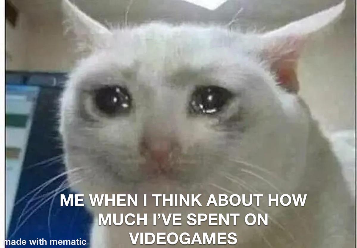 ME WHEN I THINK ABOUT HOW made with mematic MUCH I'VE SPENT ON VIDEOGAMES