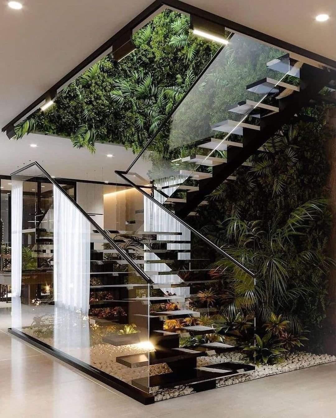 Walk into the jungle