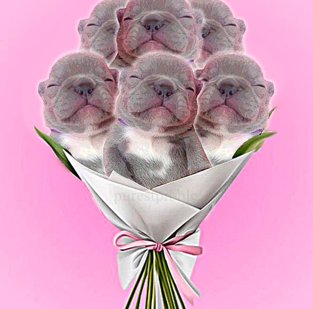 purestphle