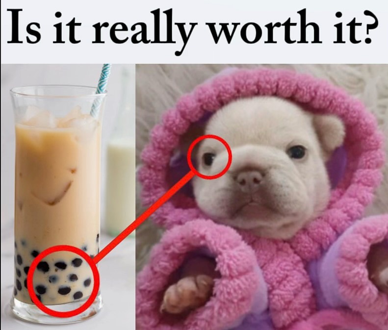 An ""Is It Really Worth It?":https://knowyourmeme.com/memes/is-it-really-worth-it" meme about Pibble.