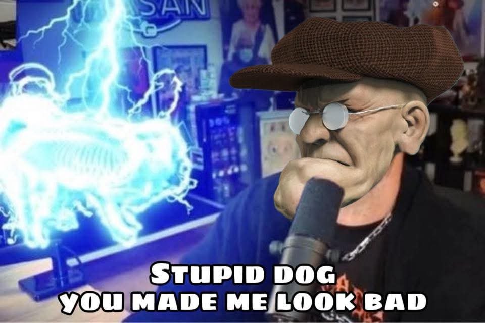 SAN STUPID DOG YOU MADE ME LOOK BAD