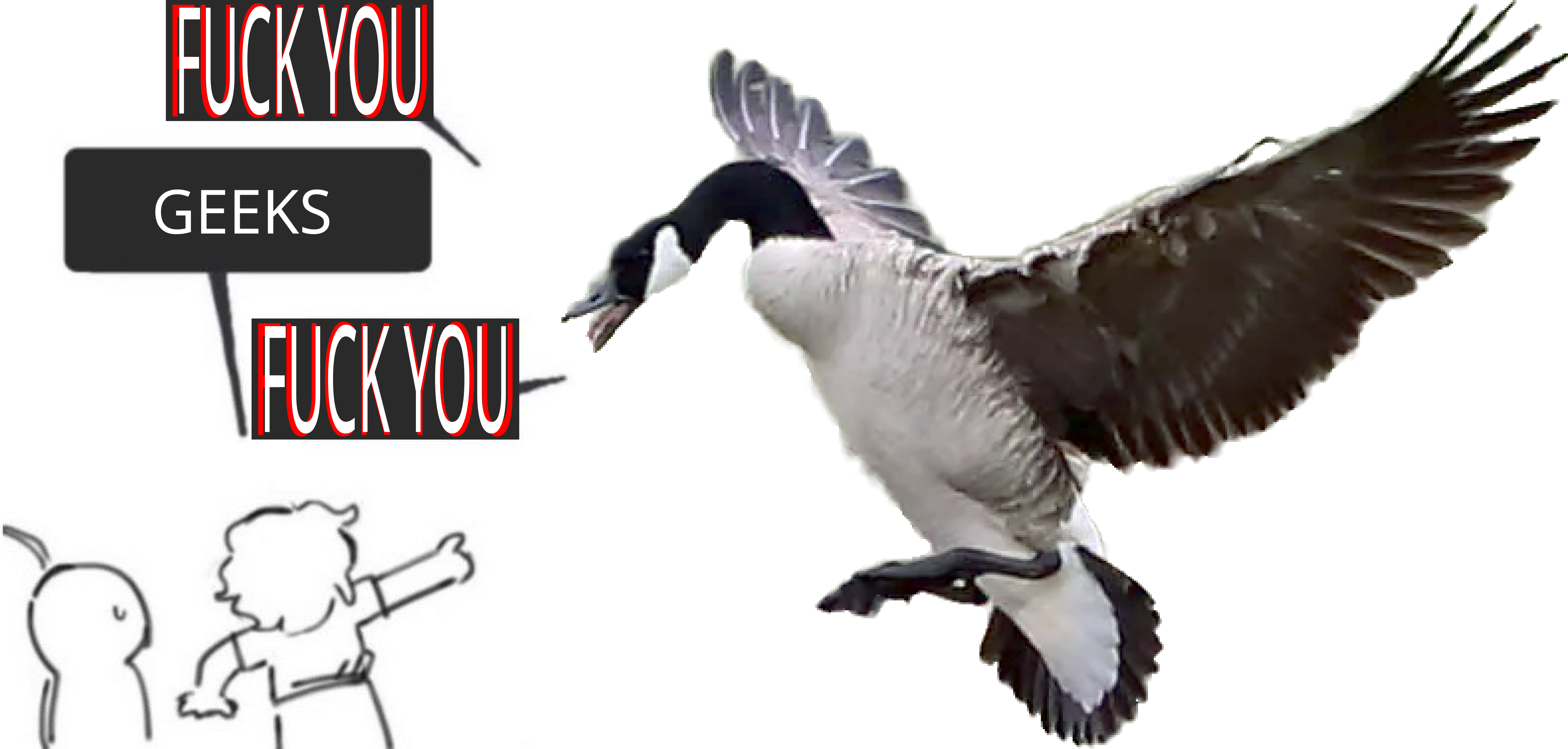 F--- YOU GEEKS F--- YOU ध्