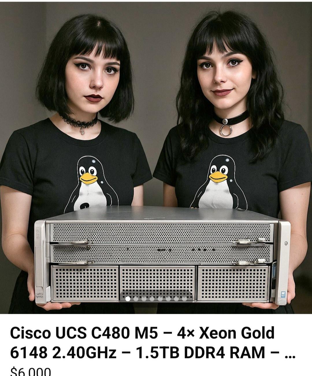 1501 M . Cisco UCS C480 M5 - 4x Xeon Gold 6148 2.40GHZ - 1.5TB DDR4 RAM - $6.000 -