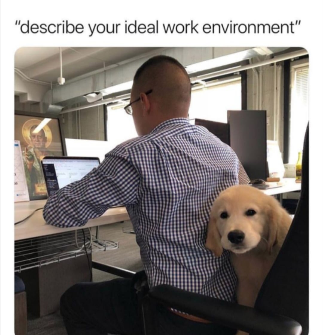 "describe your ideal work environment"