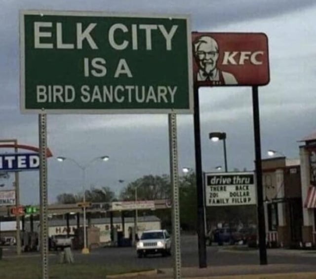 ELK CITY IS A BIRD SANCTUARY TED MACY 108 HAT KFC drive thru THERE BACK 201 DOLLAR FAMILY FILLOP