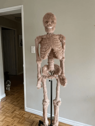 A fuzzy model skeleton
