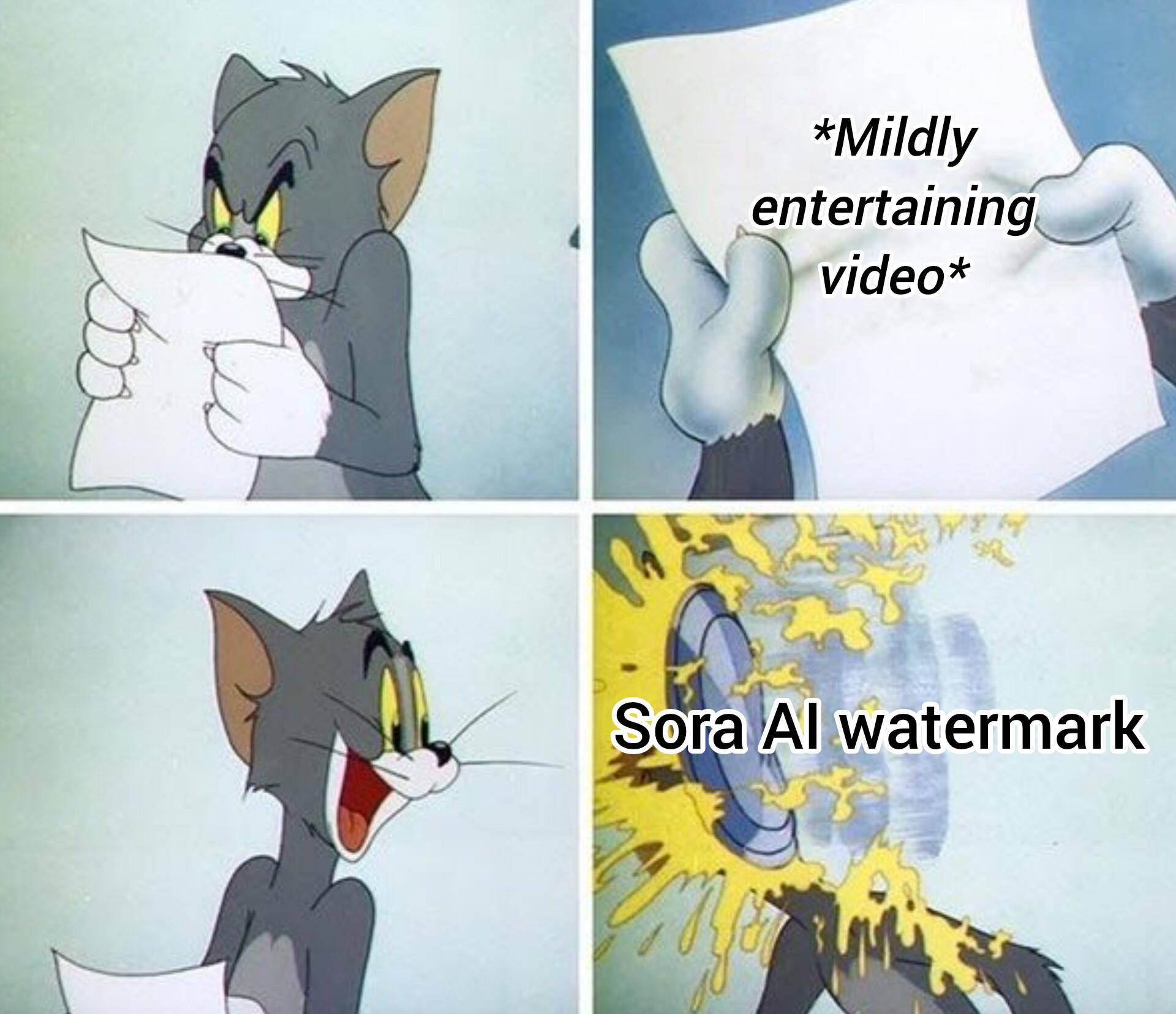 *Mildly entertaining video* Sora Al watermark