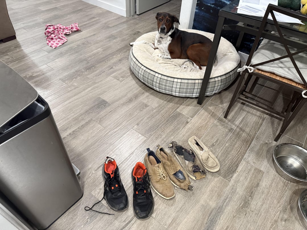 3 pairs in a week