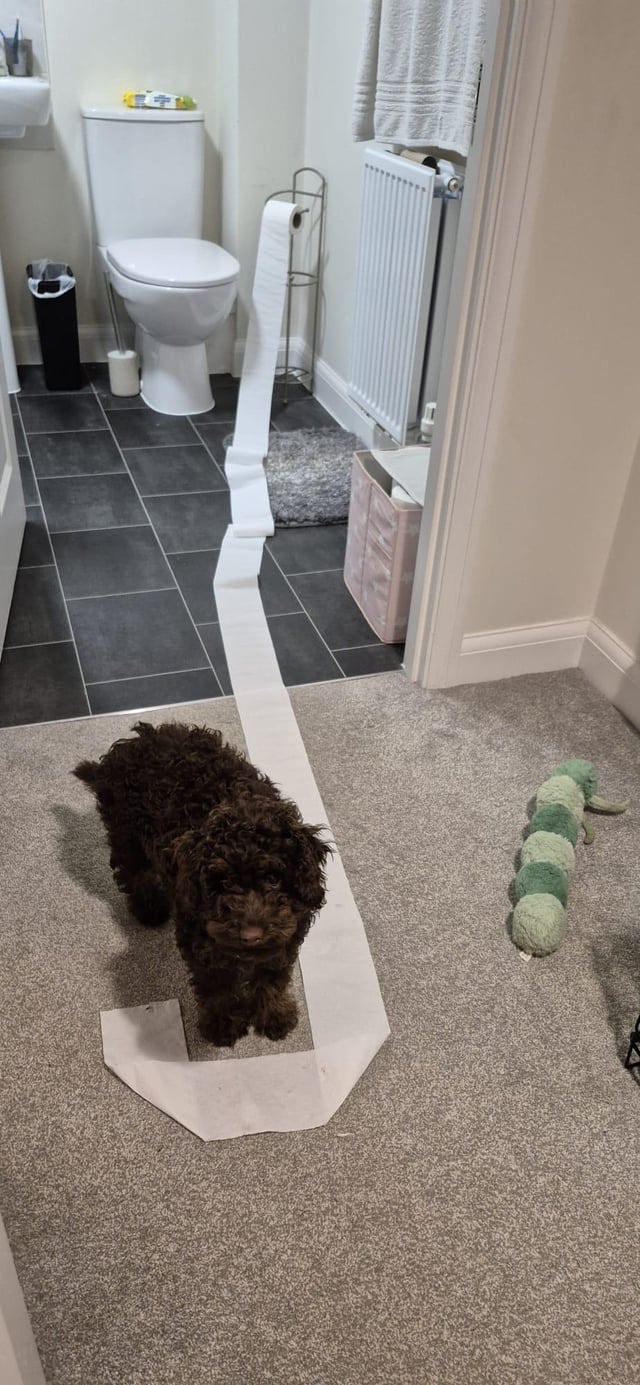 Who did that?
