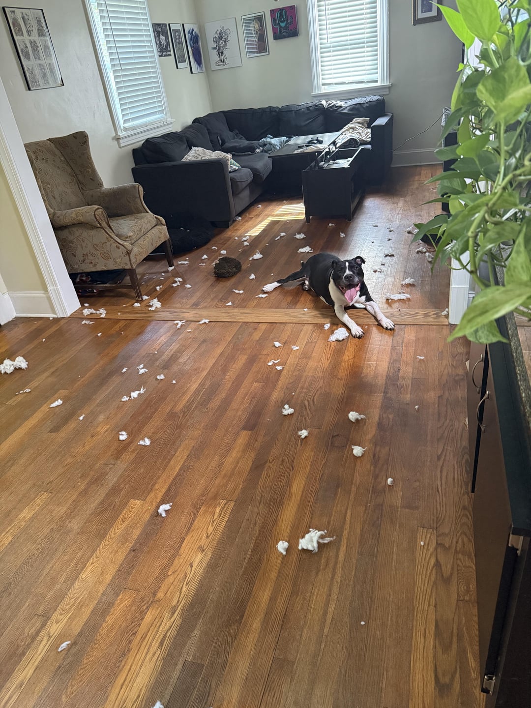 Making a mess