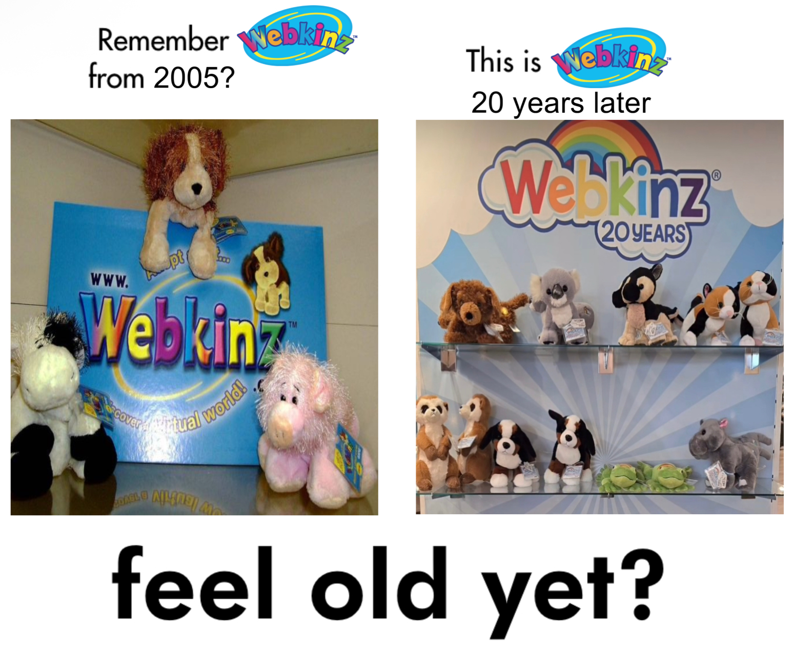 Remember Webkinz from 2005? This is Webkinz 20 years later Webkinz (20 YEARS www. pt Webkin Cover Artual world! COAGL TM feel old yet?