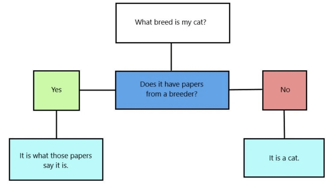 What breed is my cat? Yes Does it have papers from a breeder? No It is what those papers say it is. It is a cat.