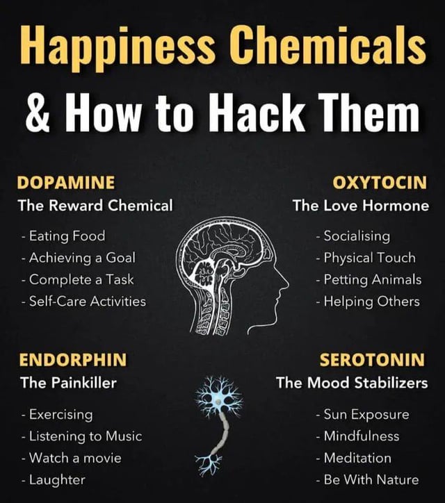 Happiness Chemicals & How to Hack Them DOPAMINE The Reward Chemical - Eating Food - Achieving a Goal - Complete a Task - Self-Care Activities OXYTOCIN The Love Hormone - Socialising - Physical Touch - Petting Animals - Helping Others ENDORPHIN The Painkiller - Exercising - Listening to Music - Watch a movie - Laughter SEROTONIN The Mood Stabilizers - Sun Exposure - Mindfulness - Meditation - Be With Nature