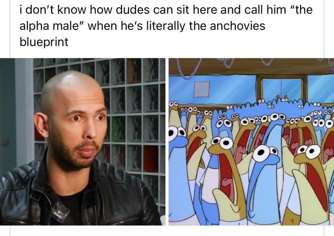 i don't know how dudes can sit here and call him "the alpha male" when he's literally the anchovies blueprint o ODPECTO