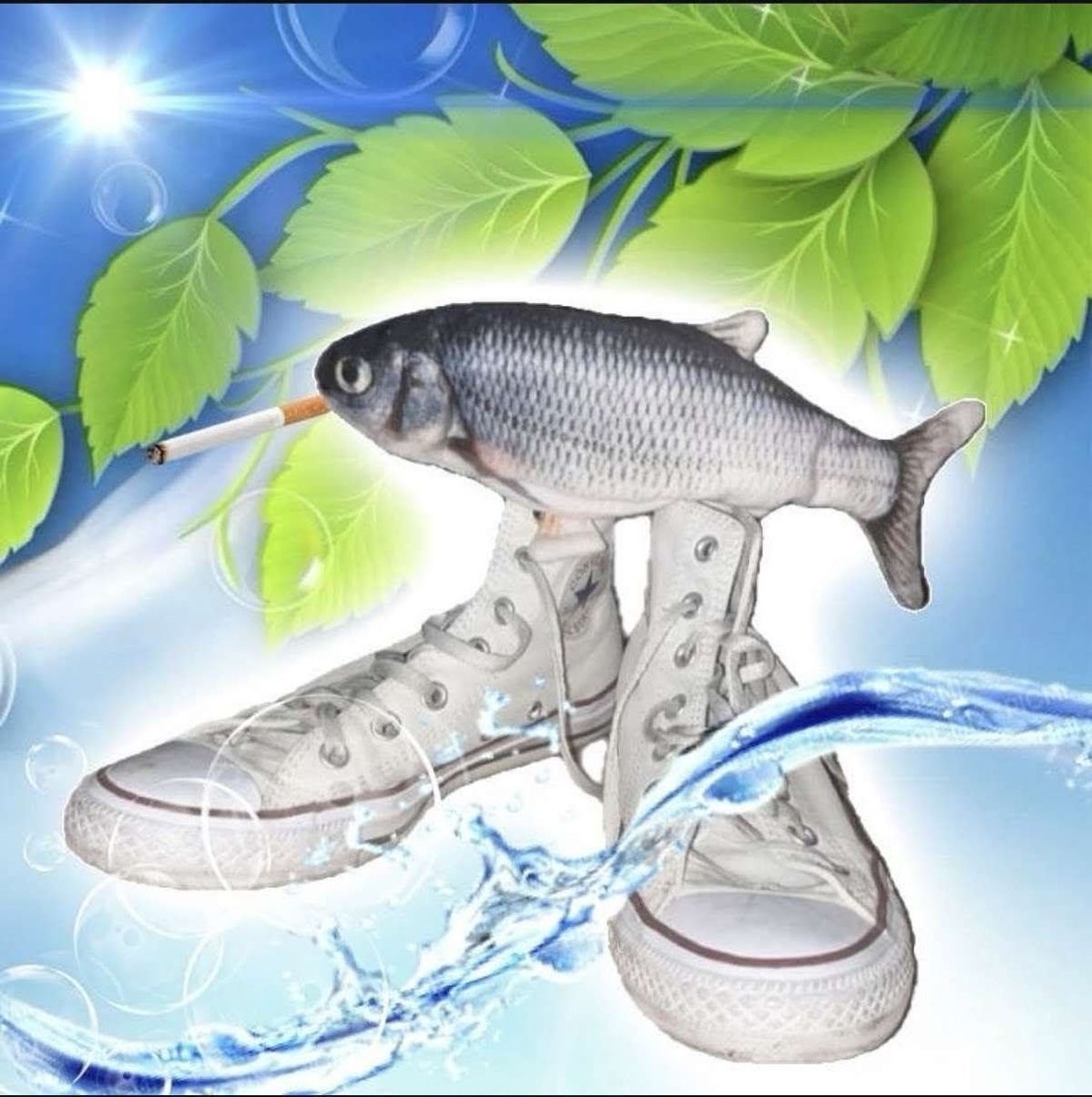 Sneaker fish 