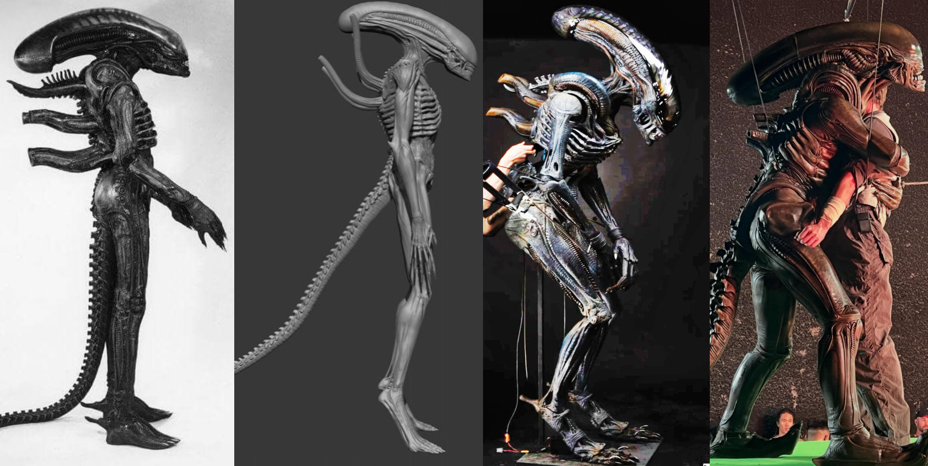Xenomorph comparison