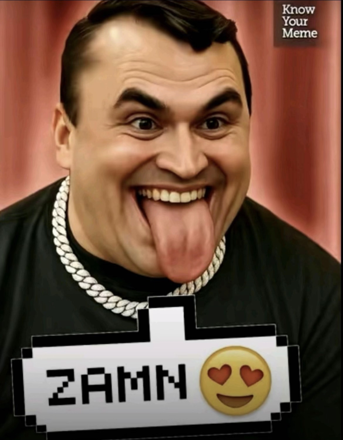 A "face swap":https://knowyourmeme.com/memes/face-swap "meme":https://knowyourmeme.com/memes/memes of "Charlie Kirk":https://knowyourmeme.com/memes/people/charlie-kirk on the "Zamn She's 12?":https://knowyourmeme.com/memes/zamn-shes-12 meme.