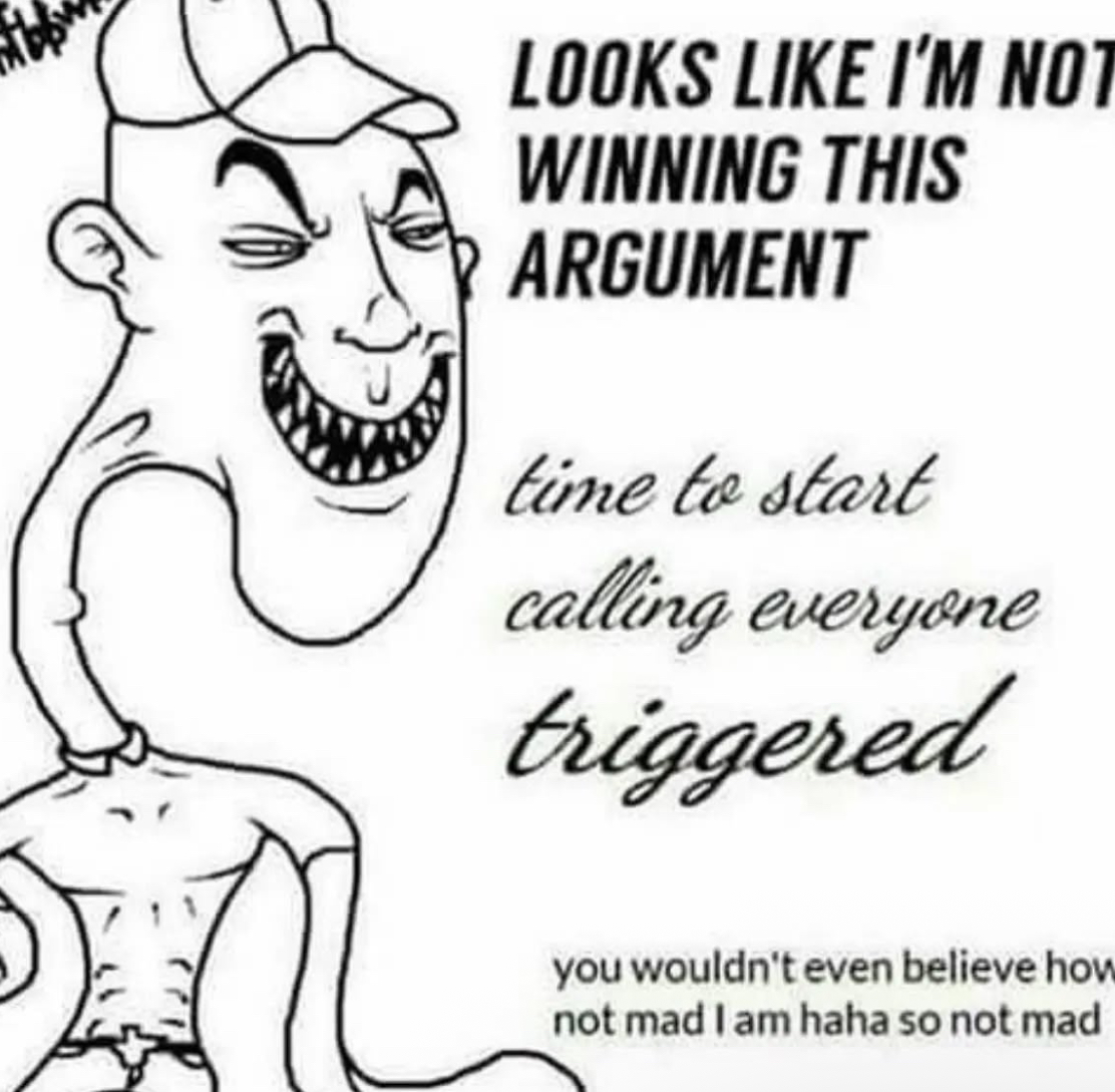 LOOKS LIKE I'M NOT WINNING THIS ARGUMENT time to start calling everyone triggered you wouldn't even believe how not mad I am haha so not mad