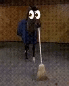 A "GIF":https://knowyourmeme.com/memes/cultures/gif of a horse sweeping with the 👀 "emoji":https://knowyourmeme.com/memes/emoji.
