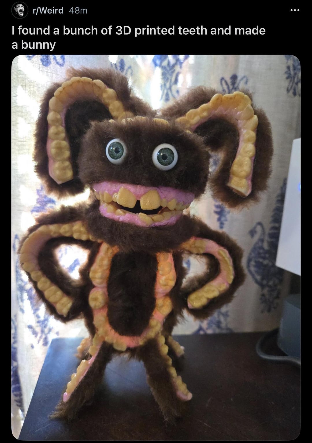 r/Weird 48m I found a bunch of 3D printed teeth and made a bunny