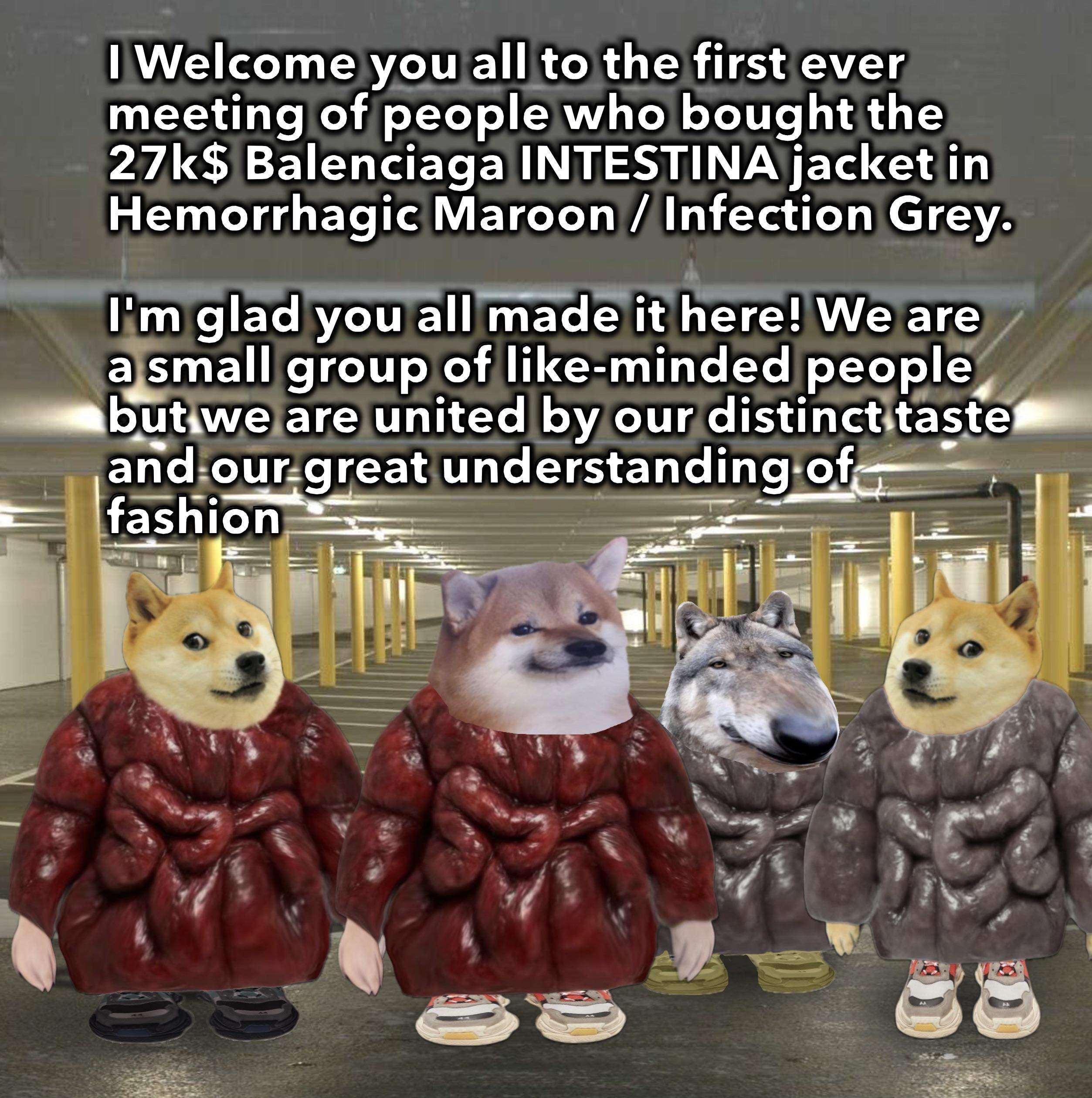 I Welcome you all to the first ever meeting of people who bought the 27k$ Balenciaga INTESTINA jacket in Hemorrhagic Maroon / Infection Grey. I'm glad you all made it here! We are a small group of like-minded people but we are united by our distinct taste and our great understanding of fashion ee