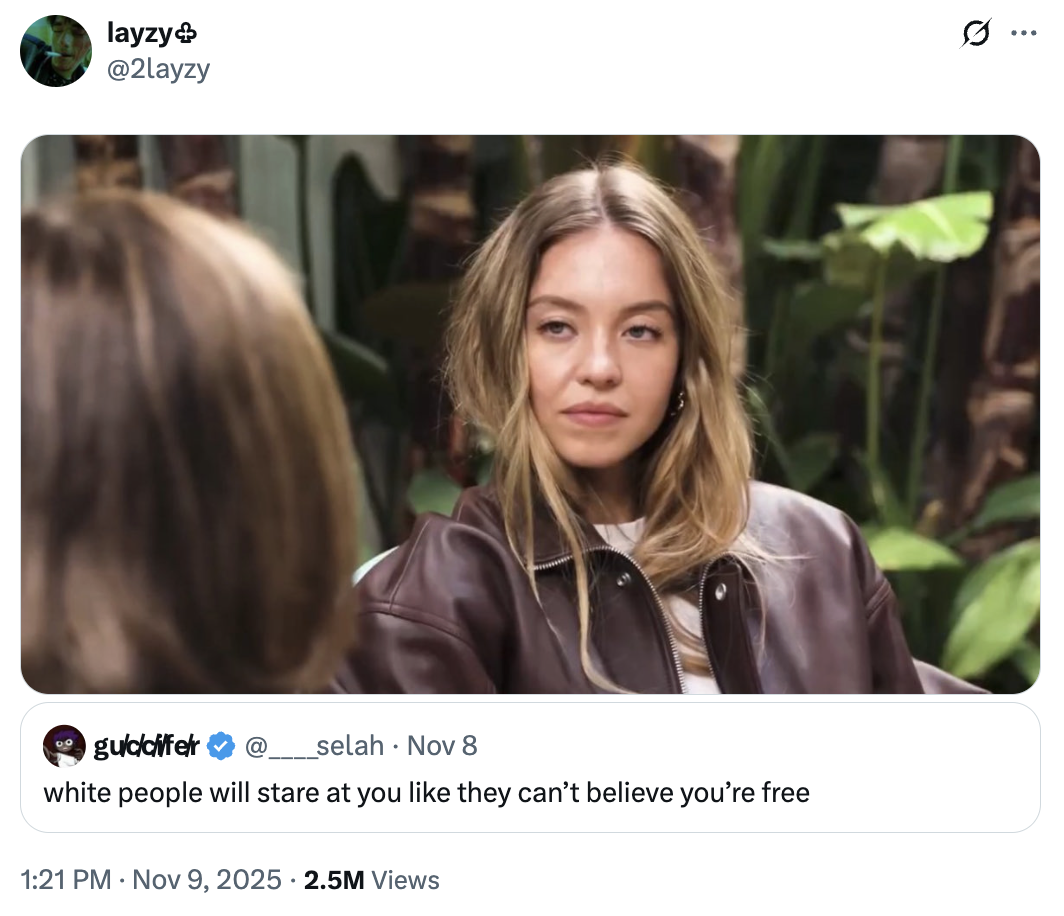 layzy @2layzy DO guddifer _selah ⚫ Nov 8 white people will stare at you like they can't believe you're free 1:21 PM ⚫ Nov 9, 2025 2.5M Views Q