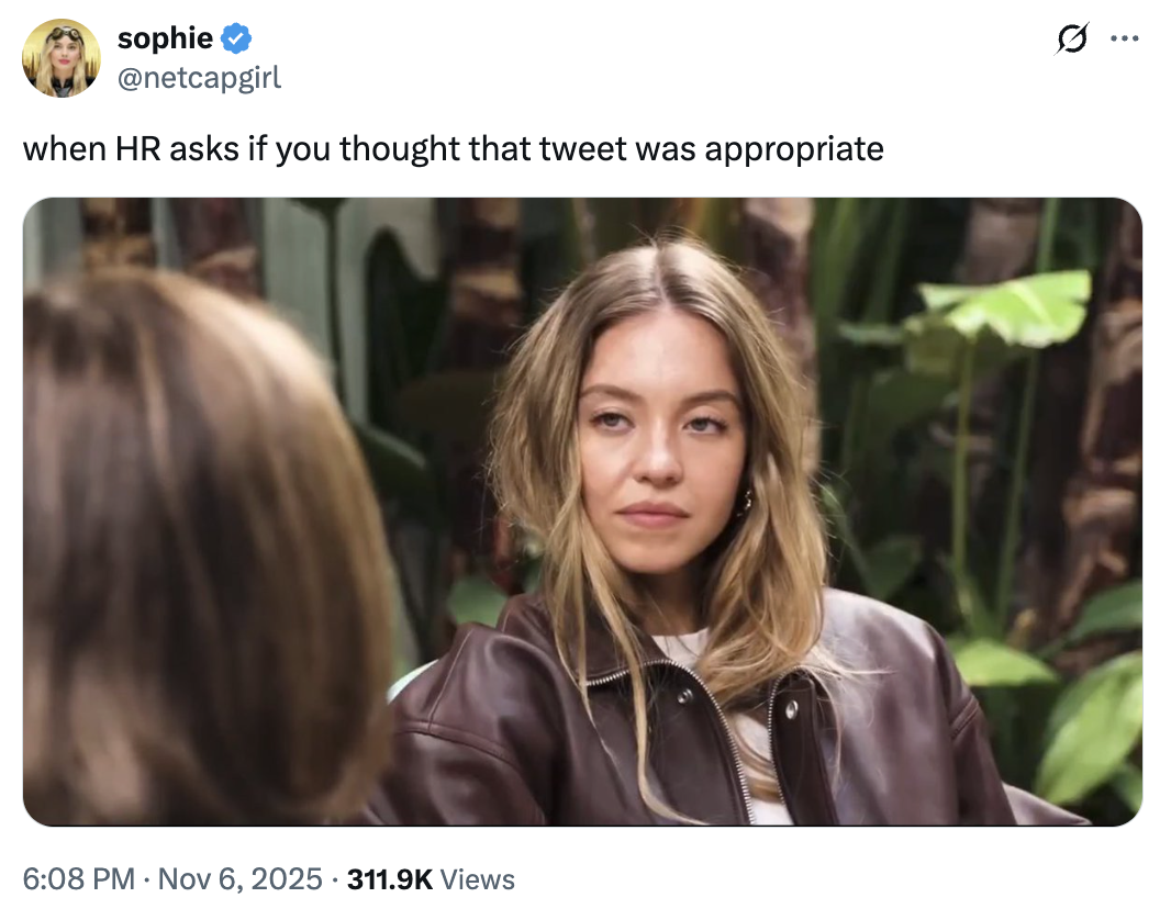 sophie @netcapgirl when HR asks if you thought that tweet was appropriate 6:08 PM Nov 6, 2025 311.9K Views 10