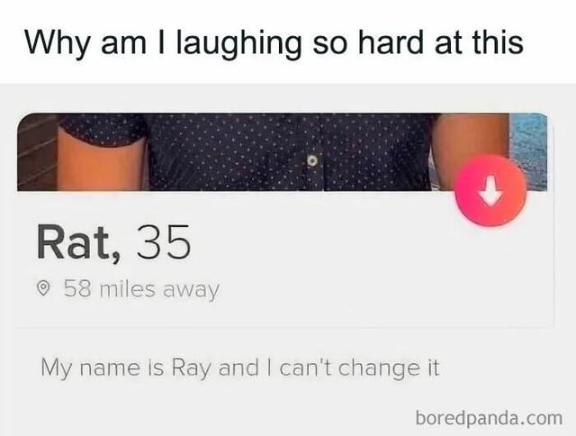 Why am I laughing so hard at this Rat, 35 58 miles away My name is Ray and I can't change it boredpanda.com