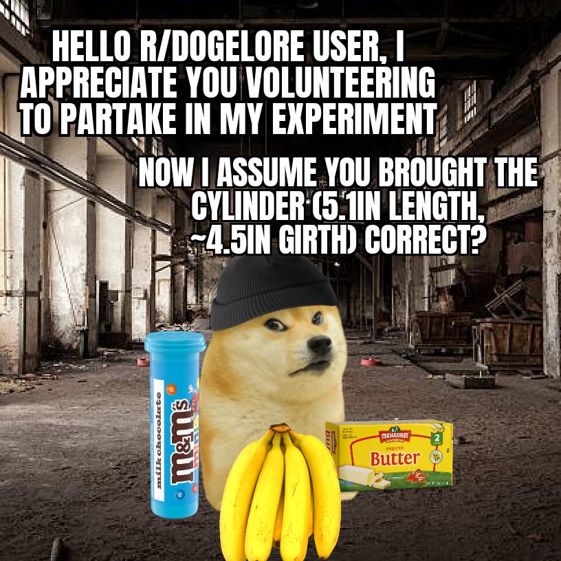 HELLO R/DOGELORE USER, I APPRECIATE YOU VOLUNTEERING TO PARTAKE IN MY EXPERIMENT NOW I ASSUME YOU BROUGHT THE CYLINDER (5.1IN LENGTH, 4.5IN GIRTH) CORRECT? milk chocolate m&ms MEHADRIN SINAUTTO Butter