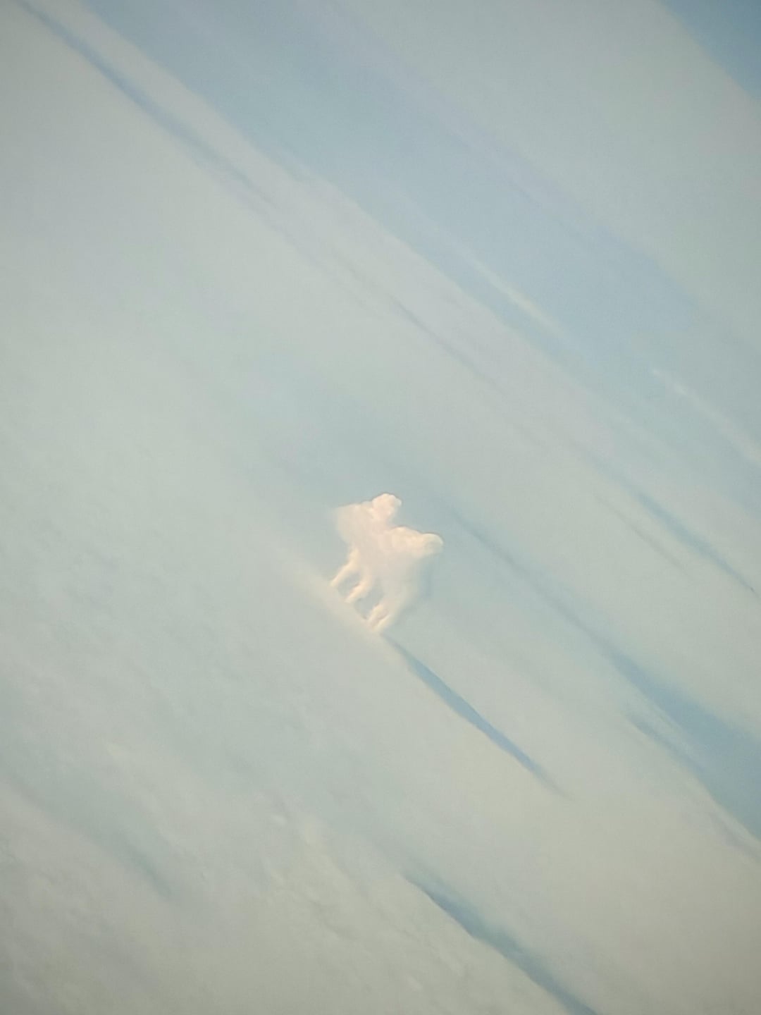 Cloud creature
